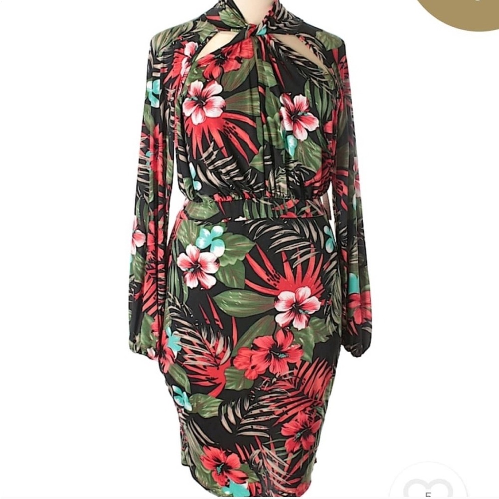 Fashion To Figure Dress